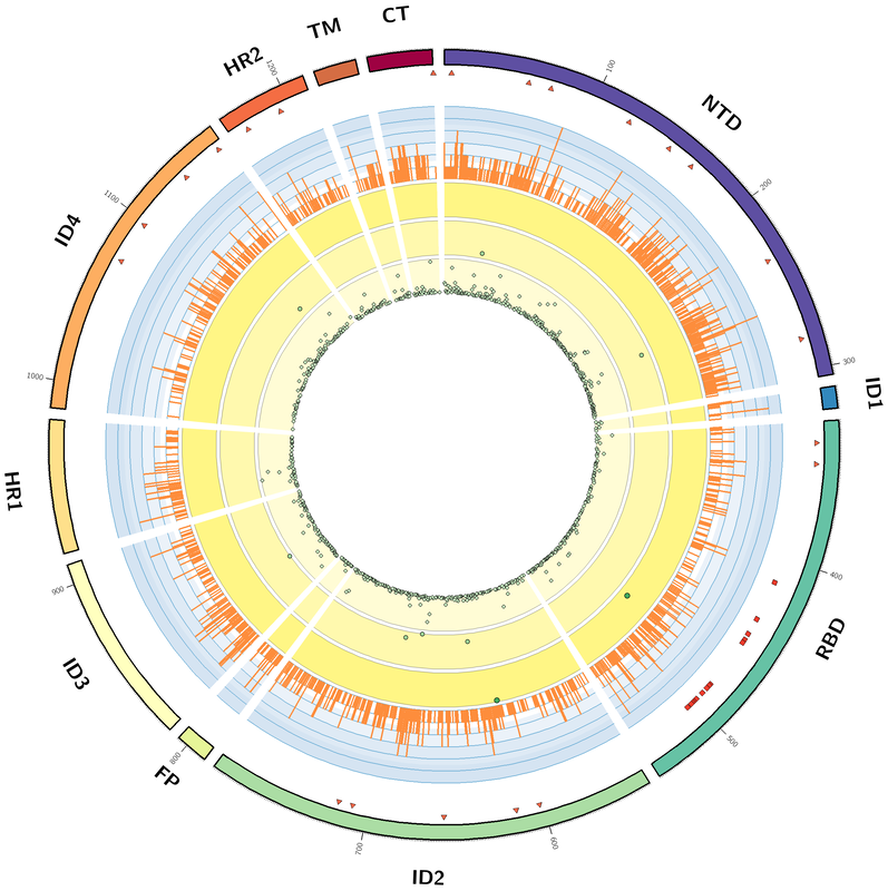 Using Circos to Visualize Mutational Data of the SARS-CoV-2 Spike Protein